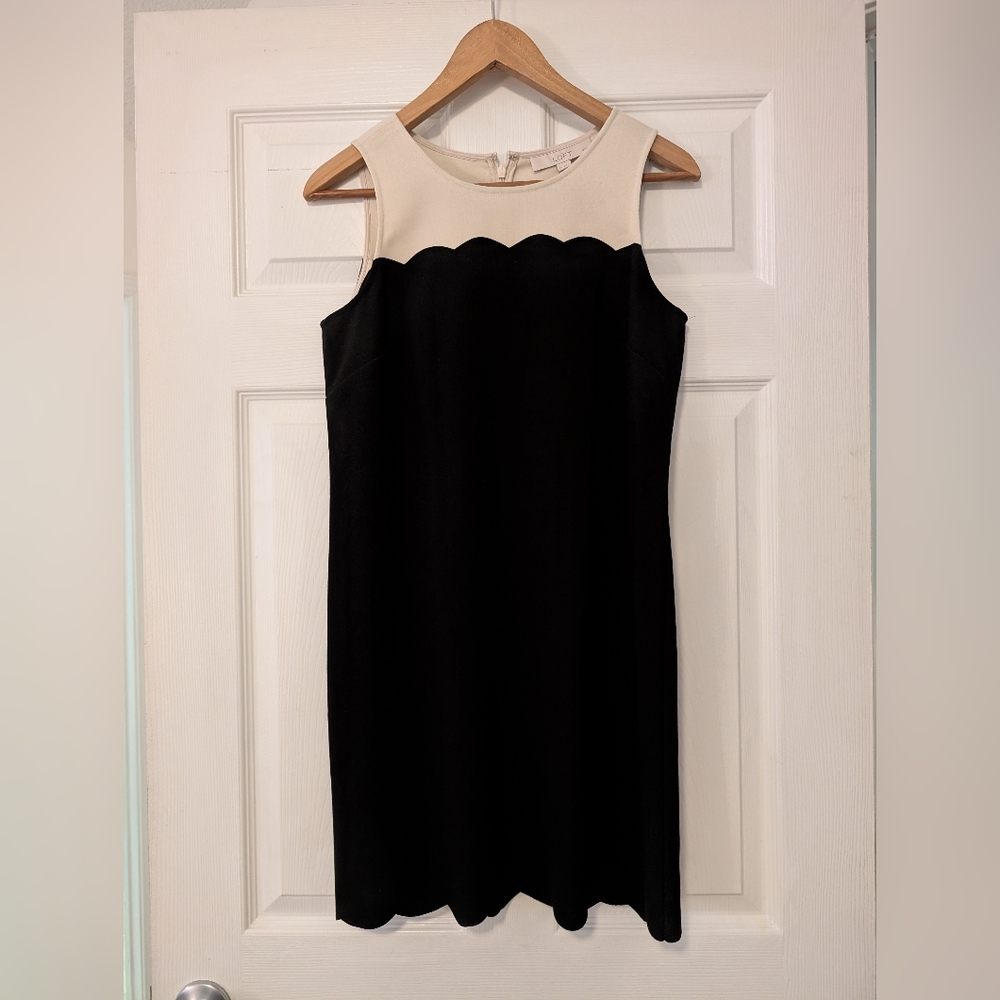 LOFT Black and Cream Scallop Mini Dress Women's Size 6P